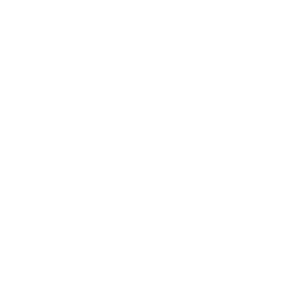 icon leichte Sprache
