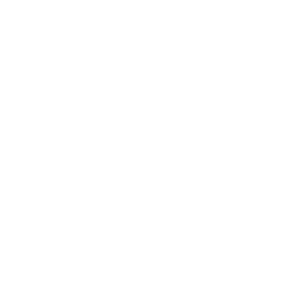 Icon einfache Sprache