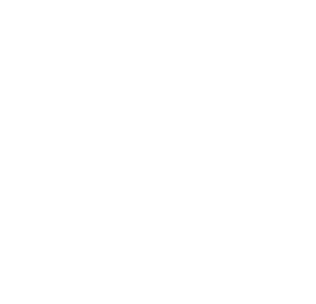 icon Sprache wählen